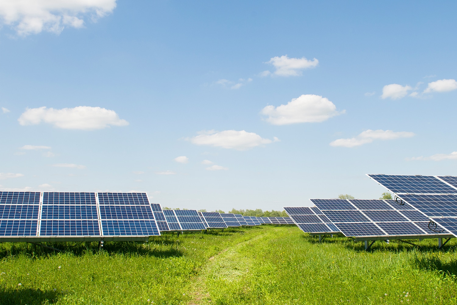 Un campo con placas solares